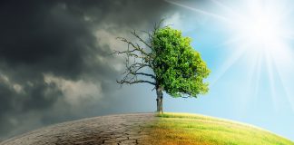 Can Climate Change Change Home Values?