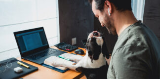 There’s No Place Like Home? America’s ‘New’ Workplace