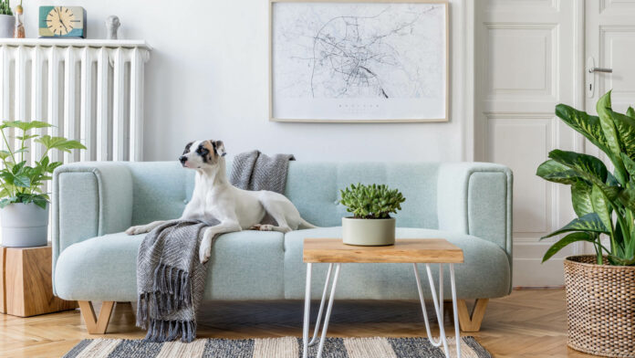 Stylish,Scandinavian,Living,Room,Interior,Of,Modern,Apartment,With,Mint