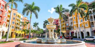 Where Did Everyone Move in the First Half of 2021?