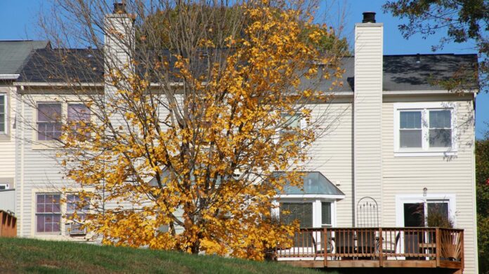 10 Most Popular Housing Markets in Early 2022