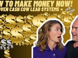 How To Make Money NOW! 4 Proven Cash Cow Lead Systems